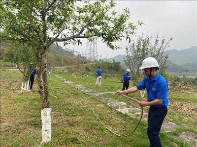 Đoàn thanh niên Công ty Thuỷ điện Tuyên Quang tổ chức thực hiện “Ngày chủ nhật xanh”