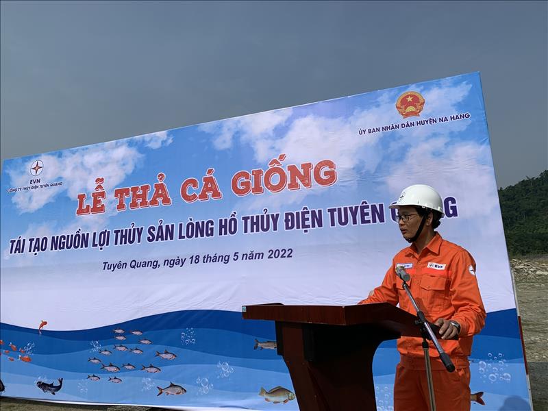 Công ty Thủy điện Tuyên Quang tổ chức thả cá giống tái tạo nguồn lợi thủy sản trên lòng hồ thủy điện 
